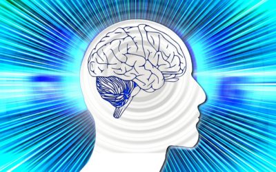 Health and Nutrition Start in the Mind
